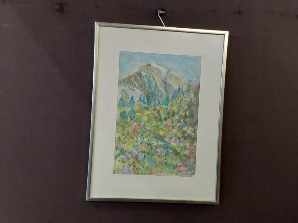TABLEAU CRAYON GRAS SOUS VERRE MONTAGNE ET FORET SIGNÉ