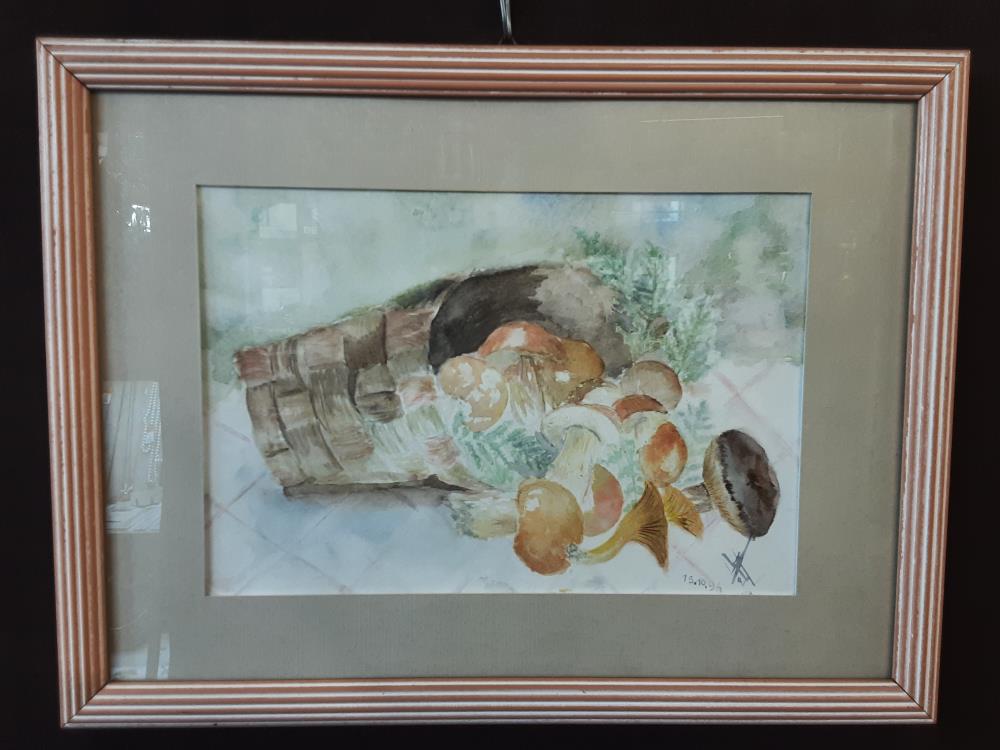 AQUARELLE CHAMPIGNONS