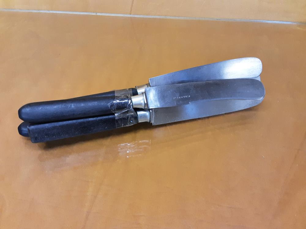 LOT DE 6 COUTEAUX A VIANDES