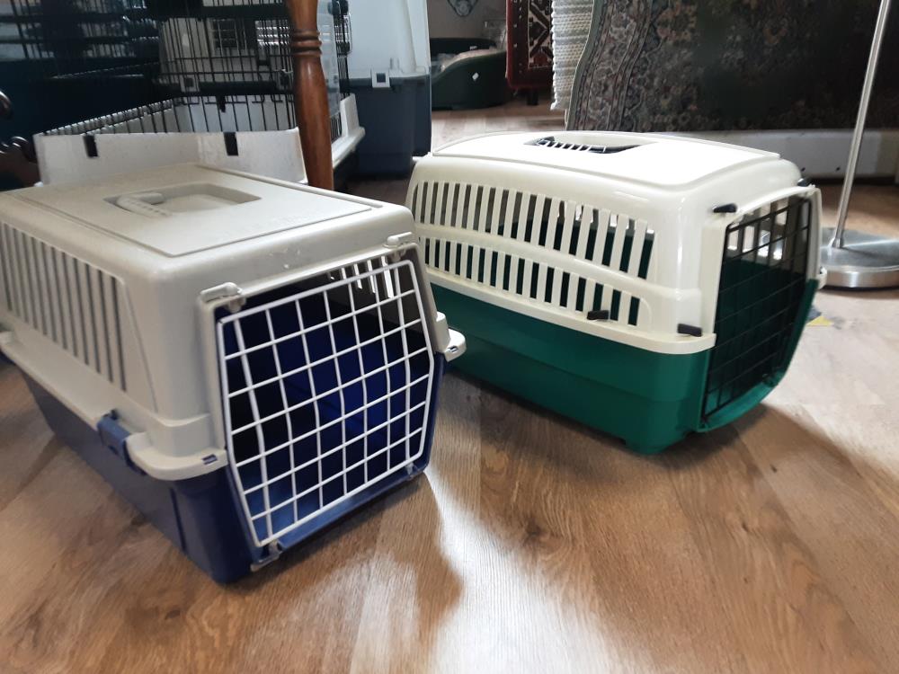 Caisse De Transport Pour Chat Pm