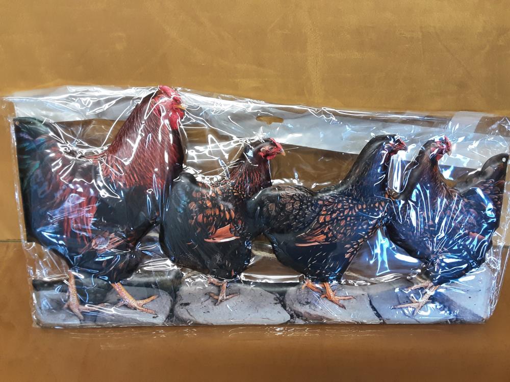 PLAQUE MÉTAL 4 POULES L.50CM (8PL-1444826503333)