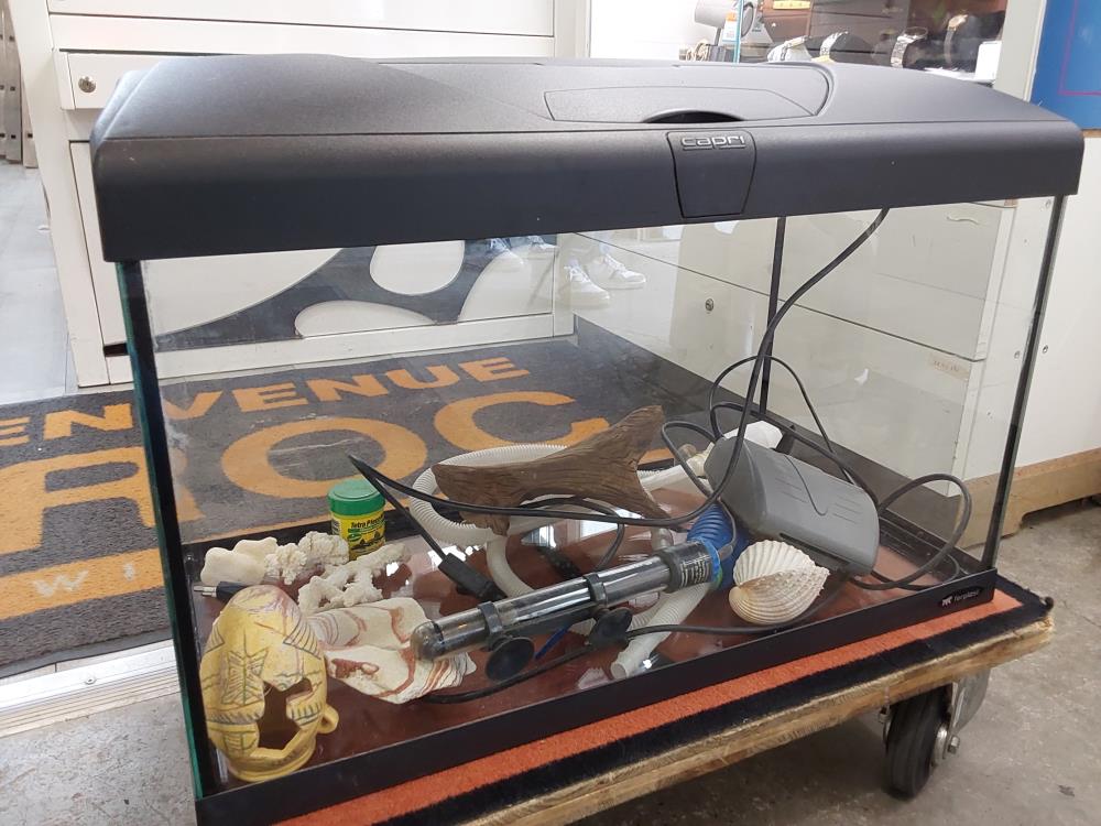 AQUARIUM  60L AVEC ACC FERPLAST CAPRI