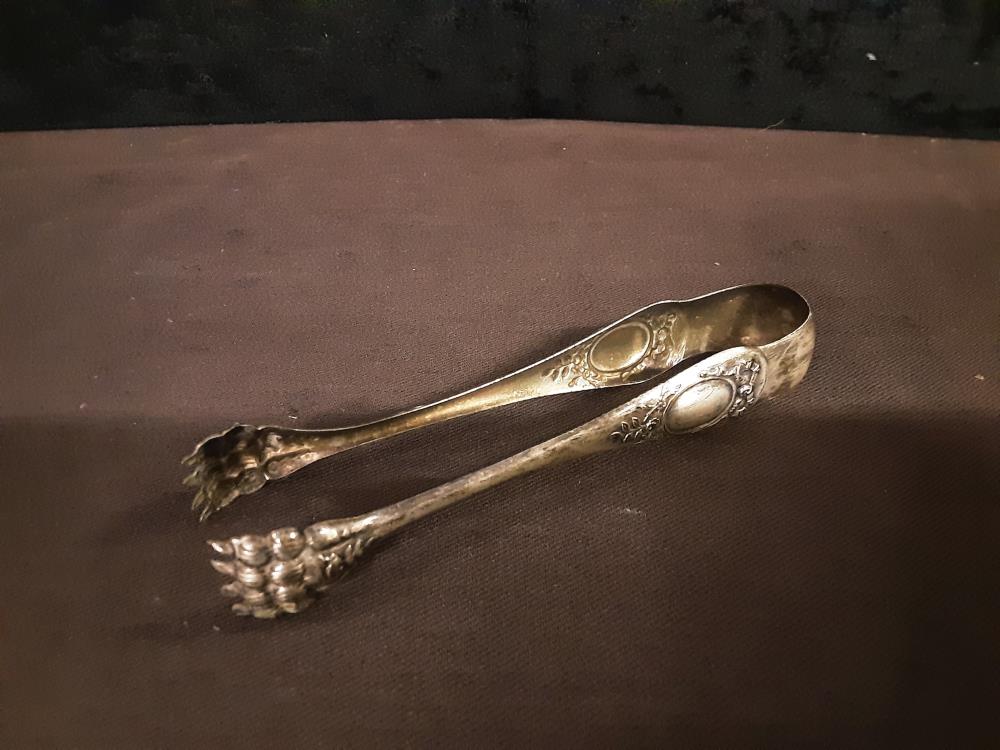 PINCE A SUCRE PATTE DE LION M.A