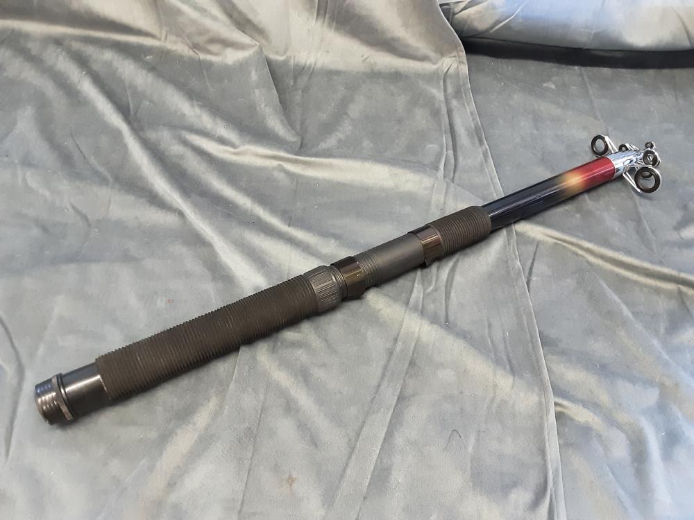 CANNE TELESCOPIQUE GUANGZHAO576M-450