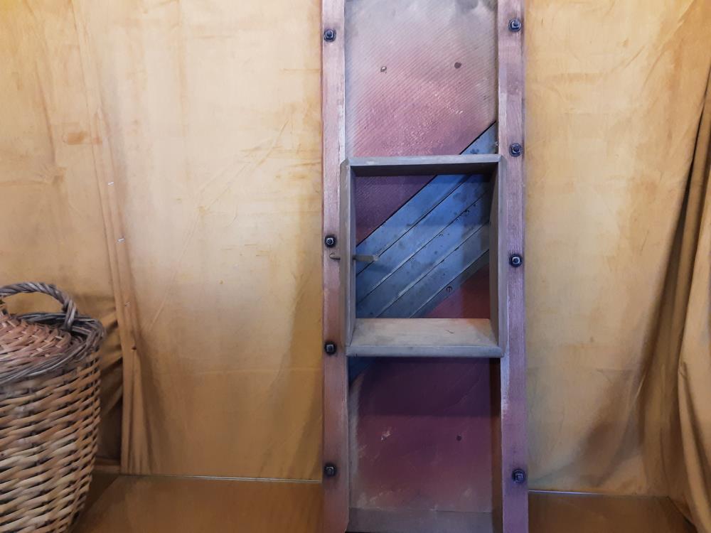 RAPE A CHOUX TGM BOIS