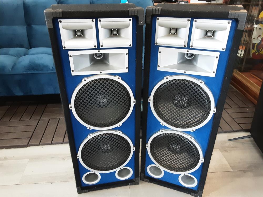 PAIRE DE HAUT PARLEURS RAVELAND X1034 200W