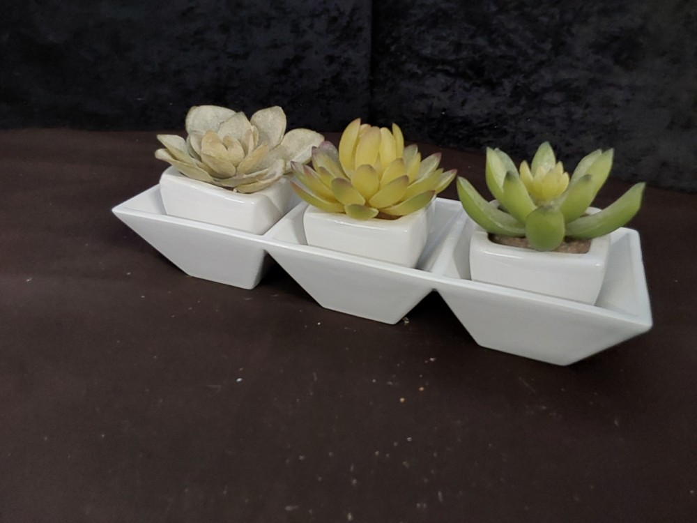 DECORATION PLANTES 3 POTS