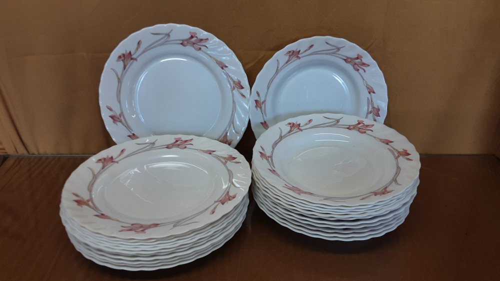 LOT DE 12 ASSIETTES PLATES + 12 ASSIETTES CREUSES ARCOPAL FLEURS ROSES