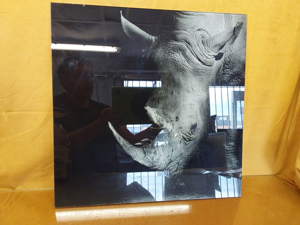 TABLEAU IMAGE RHINOCEROS SUR VERRE SANS CADRE