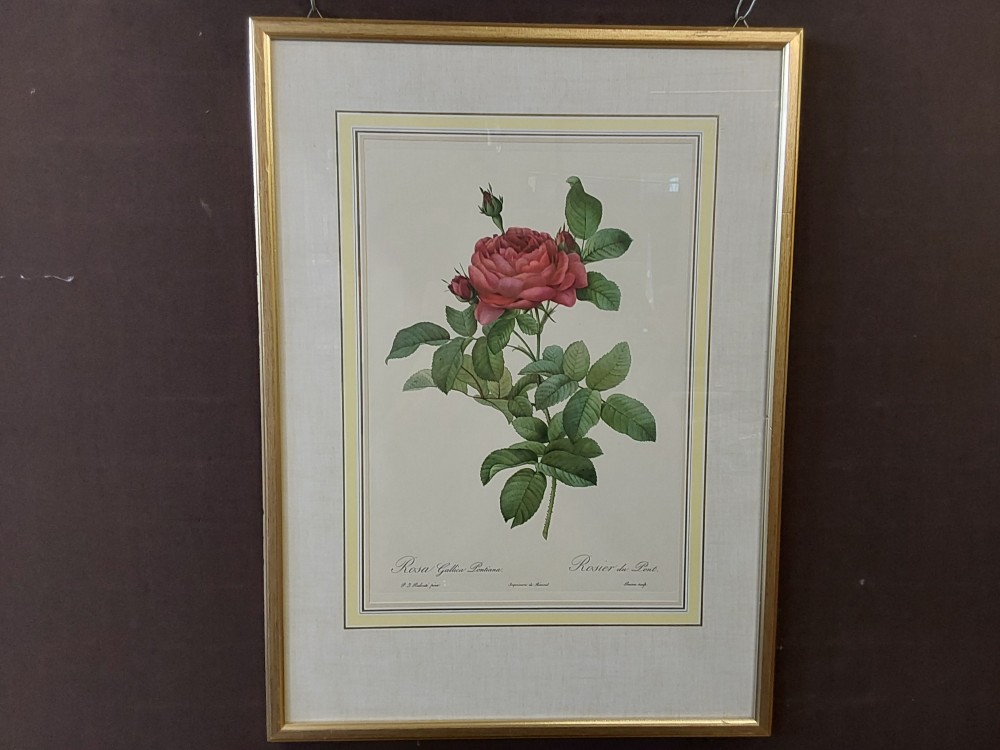TABLEAU GM CADRE DORE AFFICHE ROSE