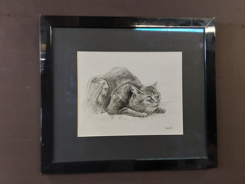 TABLEAU CRAYON CHAT GRIS, CADRE NOIR