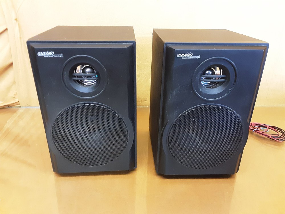 PAIRE DE HAUT PARLEURS AUVISIO 25 W