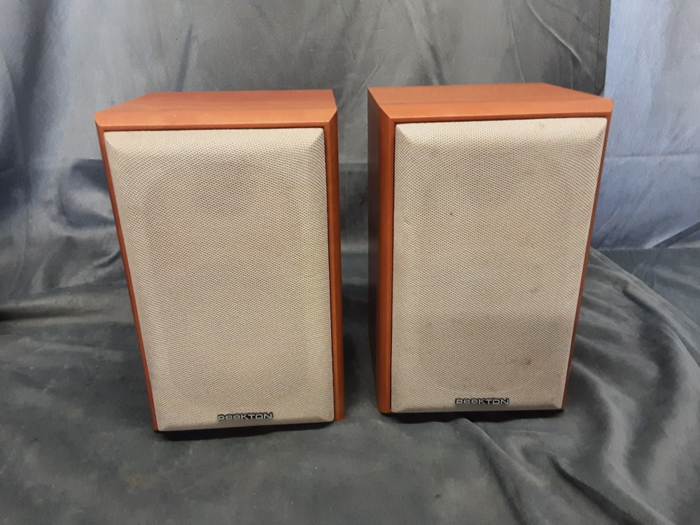 PAIRE DE HAUT PARLEUR  PEEKTON 25 W