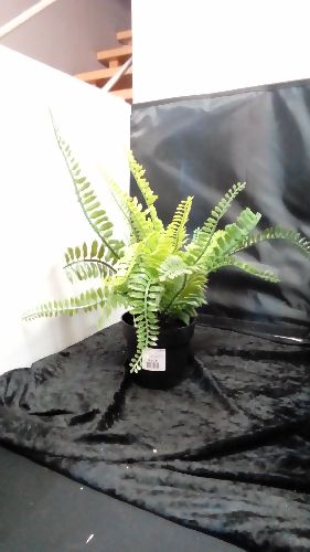 PLANTE ARTIFICIELLE PM (8719987364136)