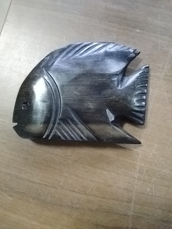 POISSON ÉBÈNE 