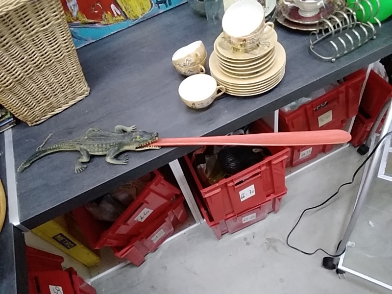 CROCODILE CHAUSSE PIED