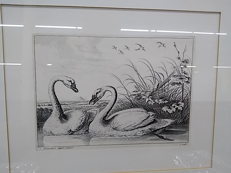 CADRE CYGNES SIGNÉ 42 X 38CM