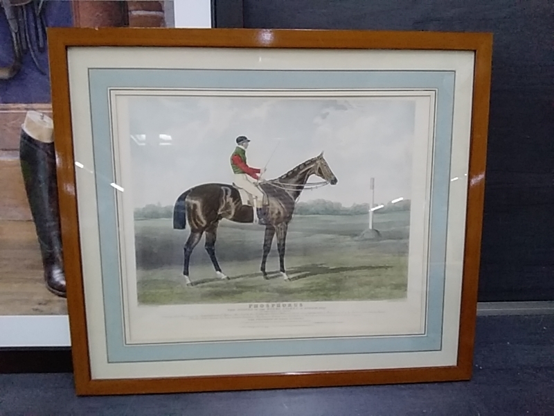 CADRE CAVALIER 64 X 55 CM