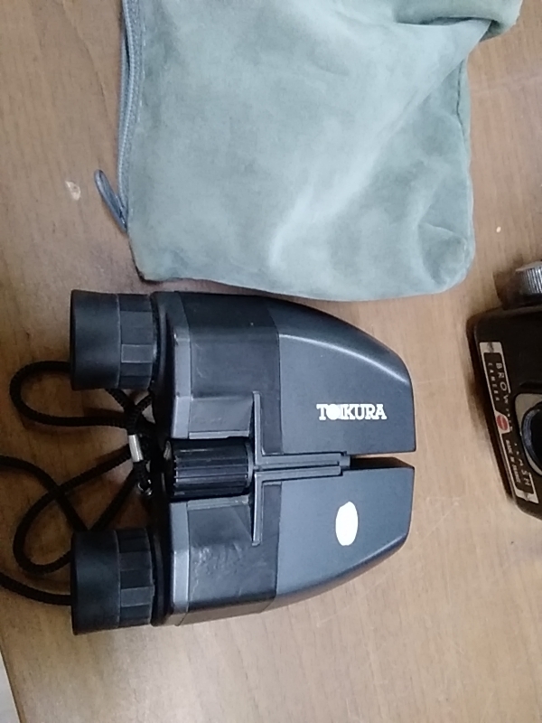 PAIRE DE JUMELLES DE THÉÂTRE TOKURA