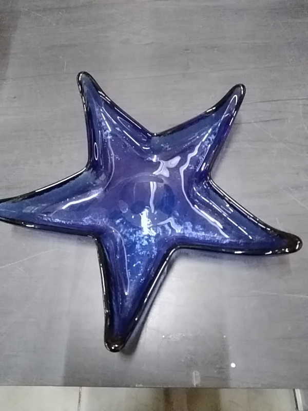 VIDE POCHE ÉTOILE BLEU 