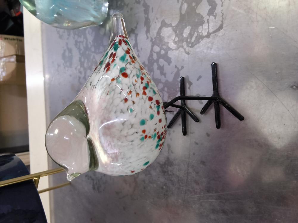 OISEAU VERRE 