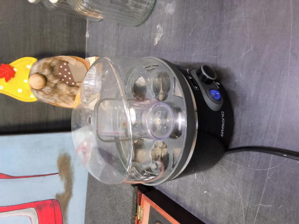 COQUETIER ÉLECTRIQUE 