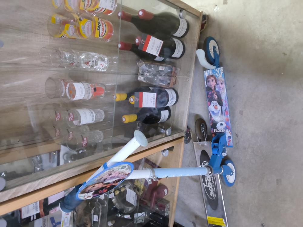 TROTINETTE FROZEN DANS L'ÉTAT 