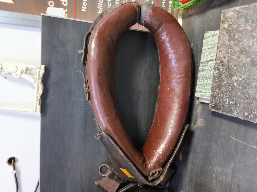 JOUG DE BOEUF