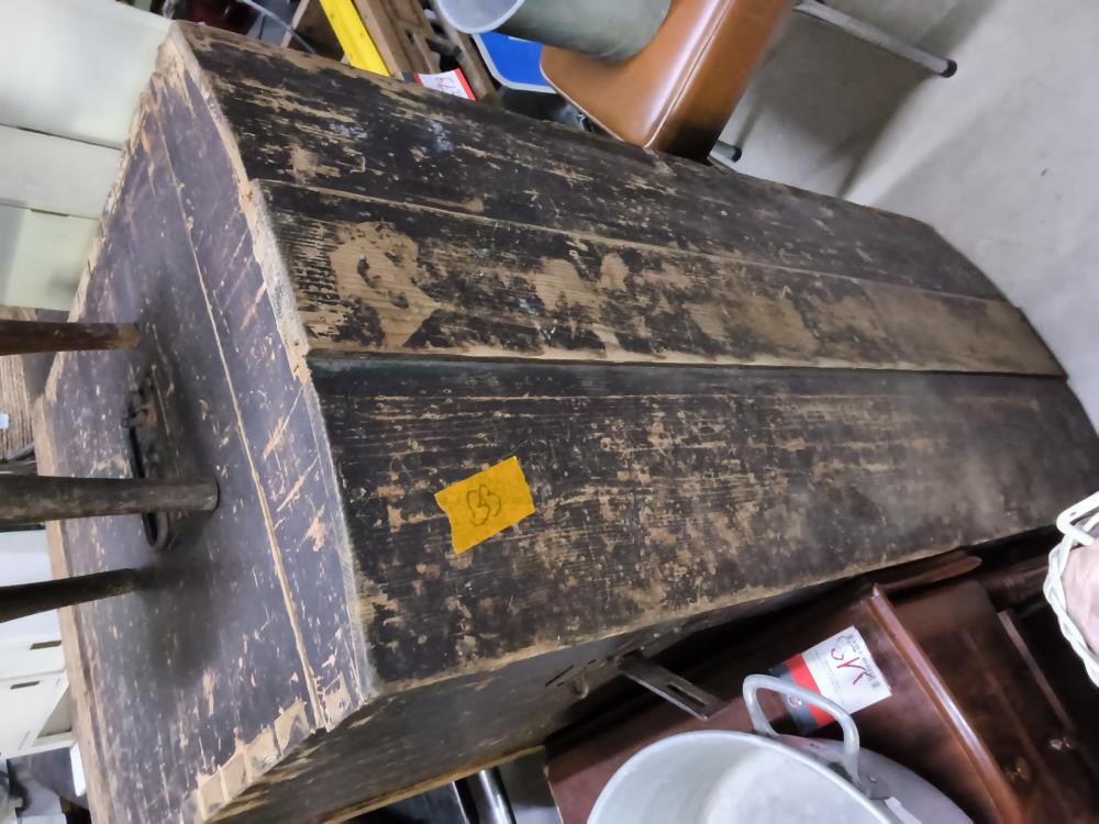 MÂLE GRAND MODÈLE 