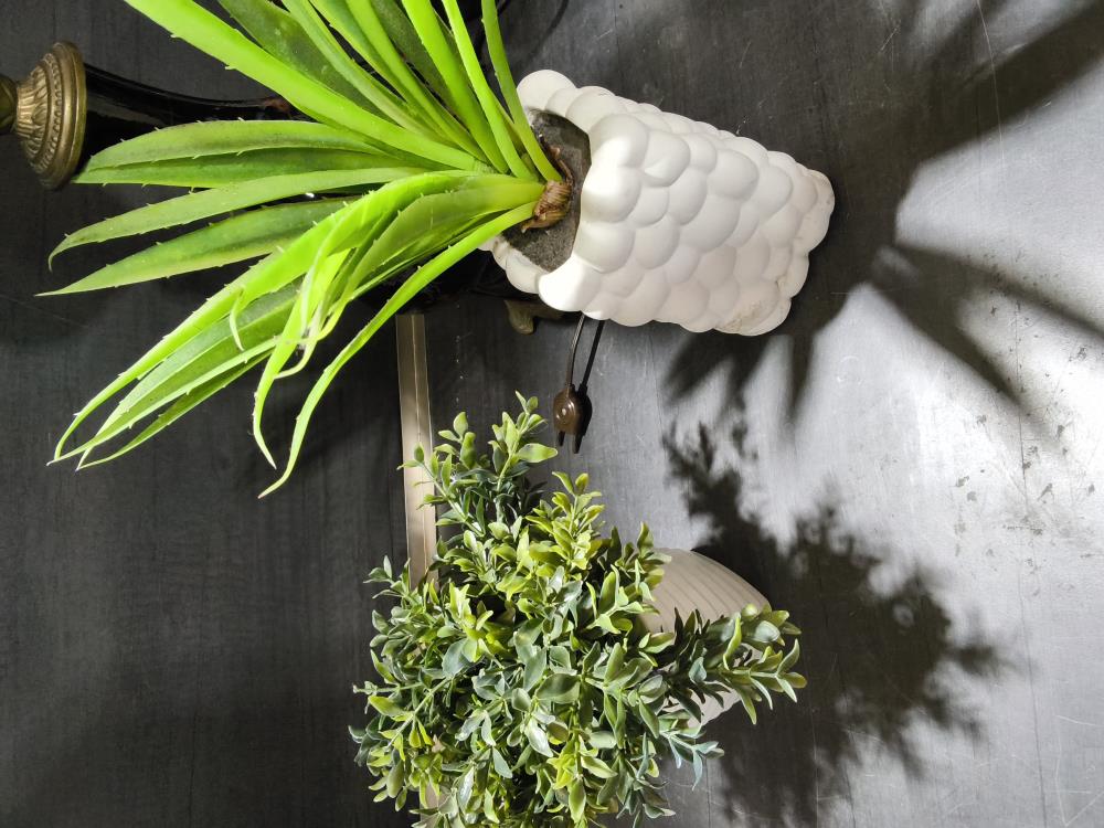 PLANTE ARTIFICIELLE 