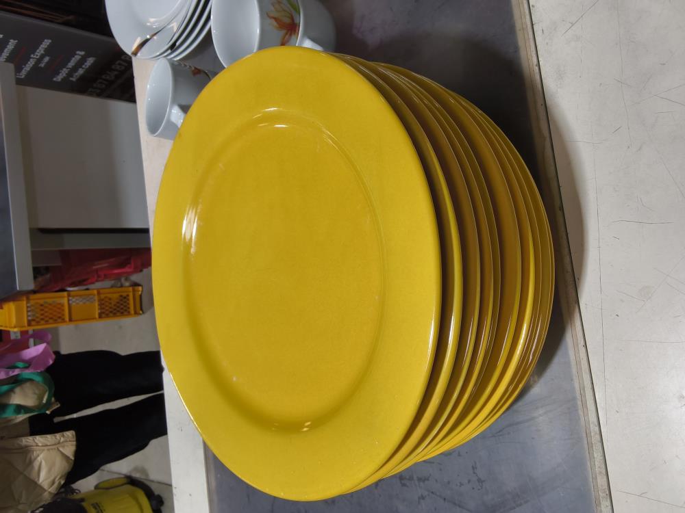 LOT DE 10 ASSIETTES GRAND MODÈLE JAUNE