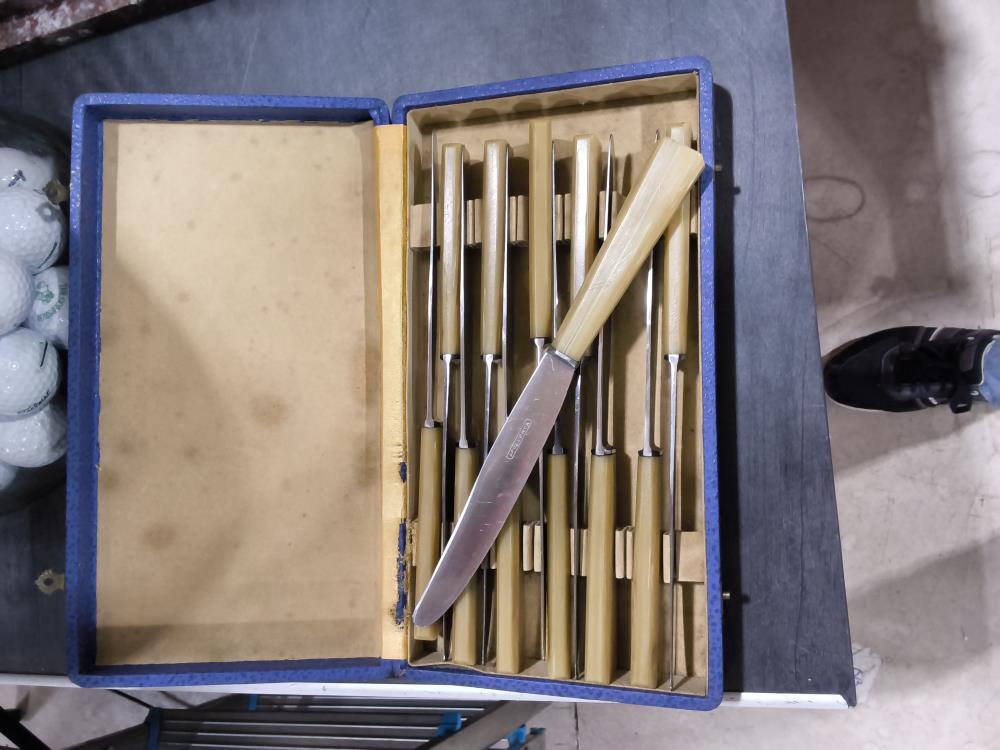 LOT DE 12 COUTEAUX APOLONOX