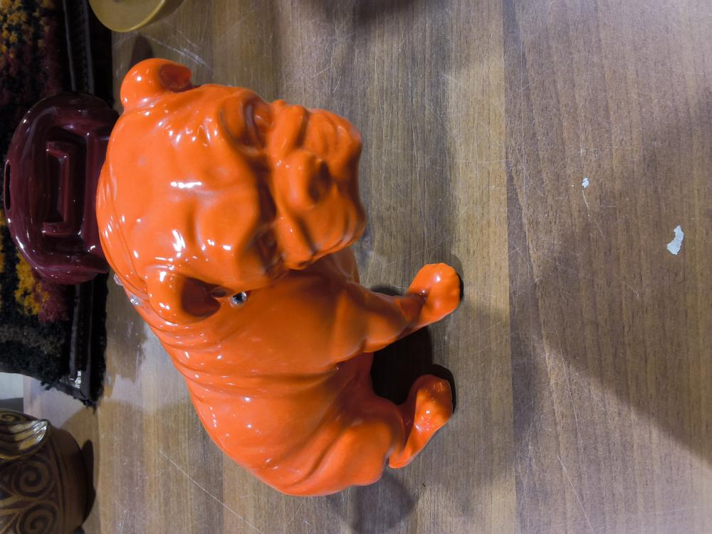 CHIEN ASSIS ORANGE