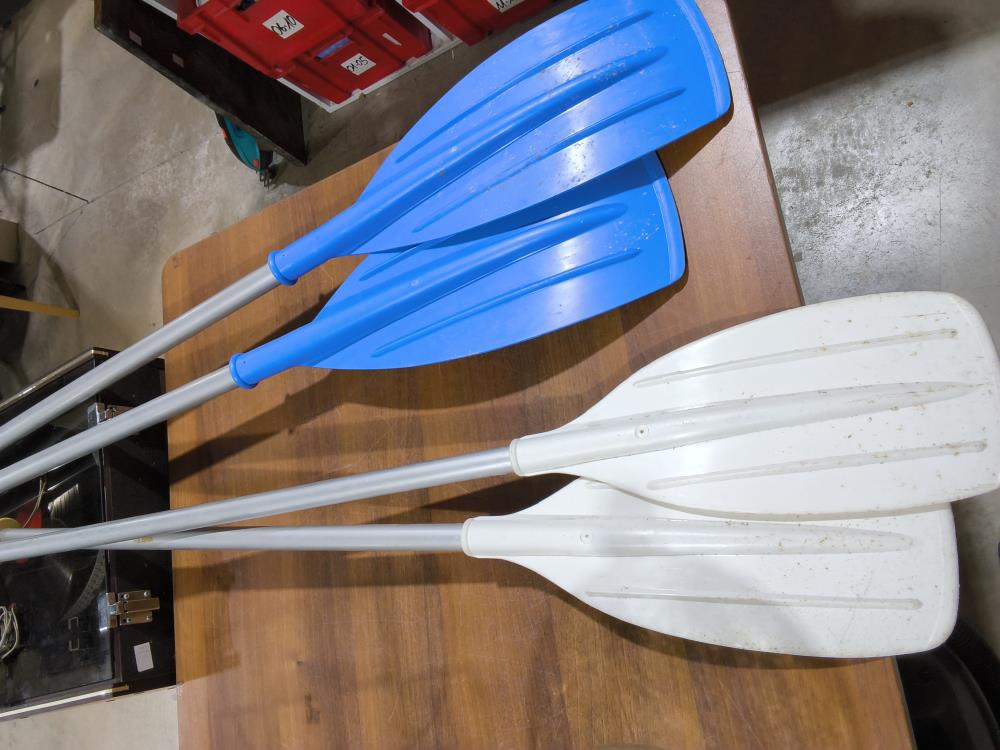 PAIRE DE RAMES PVS