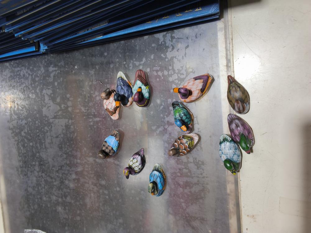 LOT DE 12 MINI CANARDS