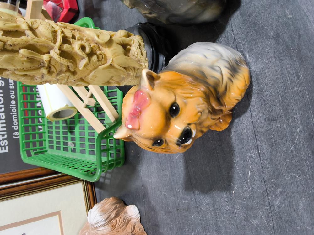 PETIT CHIEN 