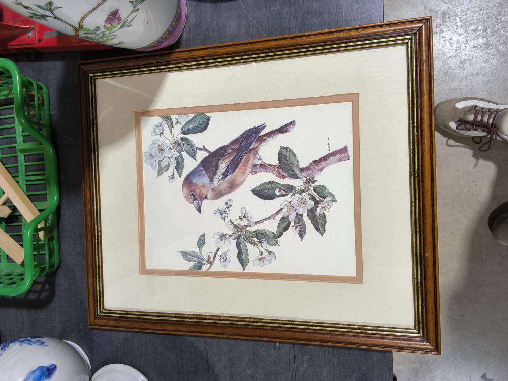 CADRE OISEAU 32 X 39CM
