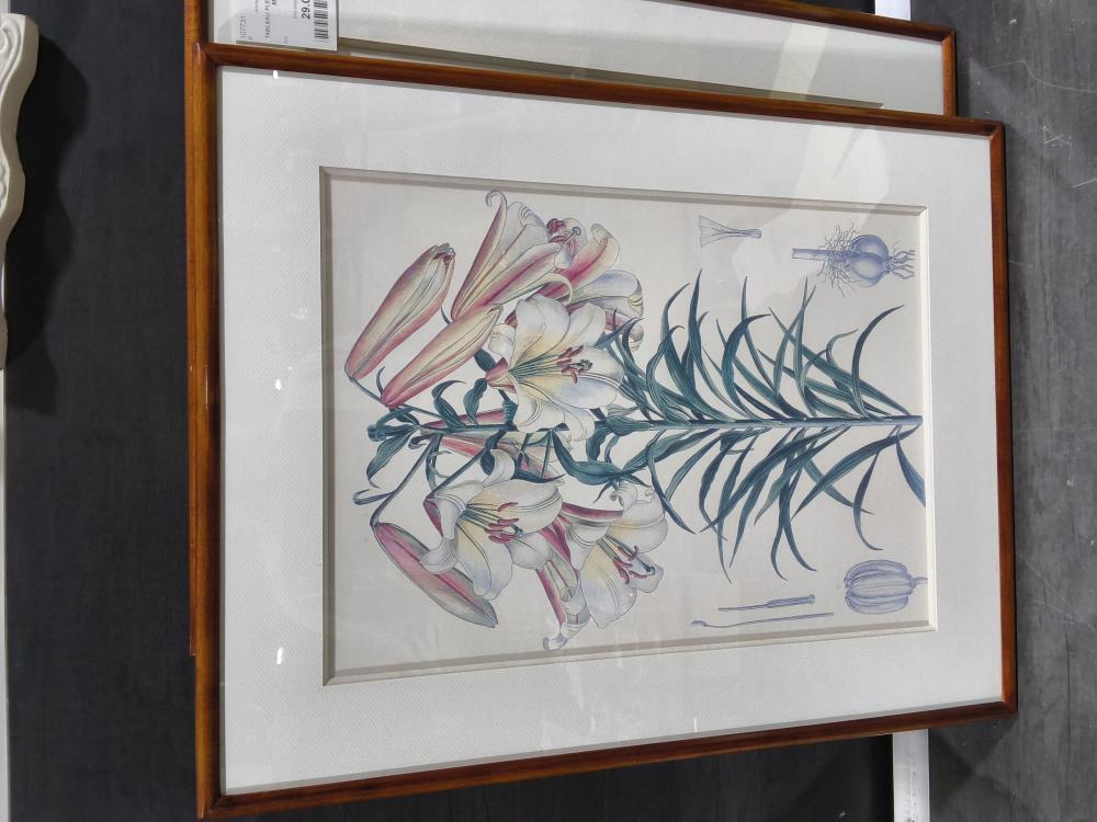 TABLEAU FLEURS DE LYS 44 X 55 CM