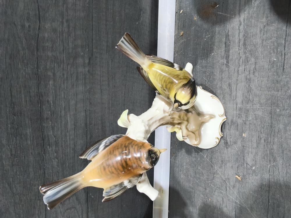 OISEAUX 