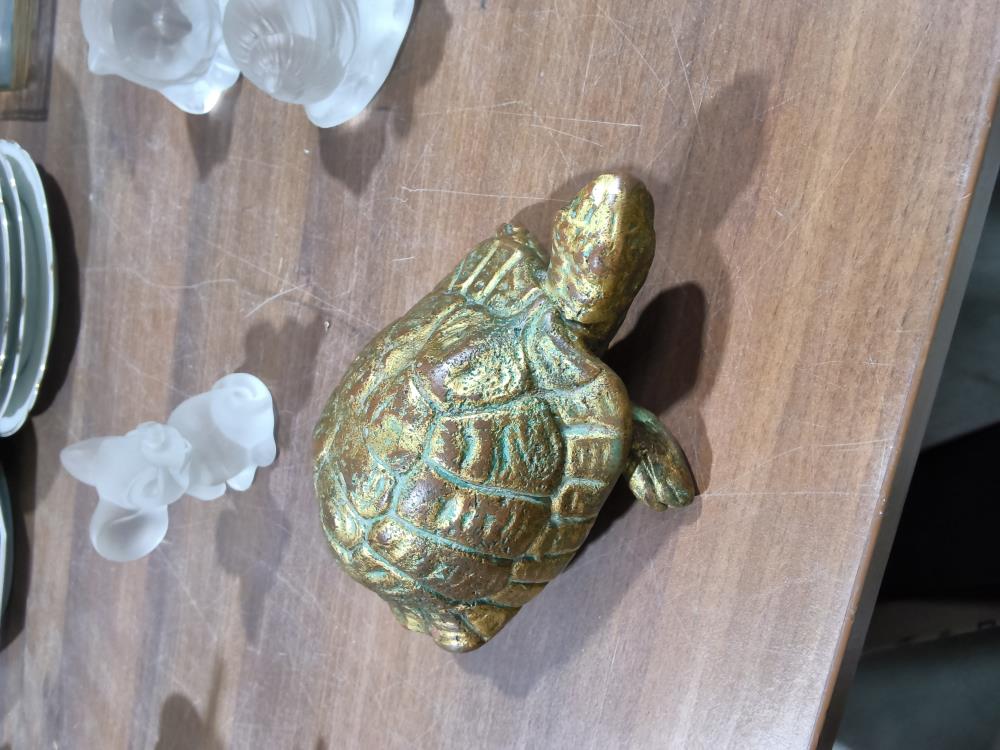TORTUE 