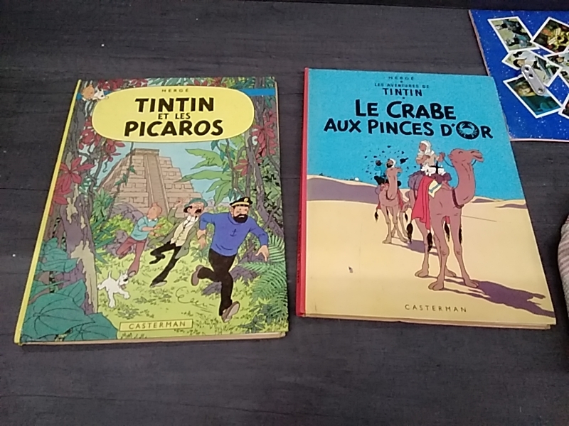 BD TINTIN occasion - TROC FORBACH