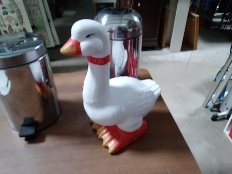 CANARD GRAND MODELE