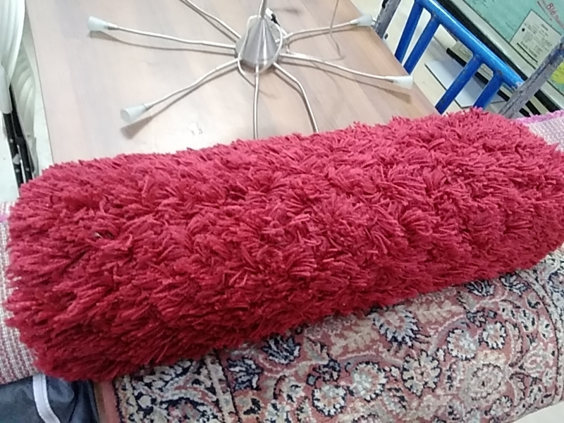 PETIT TAPIS ROUGE DANS L’ETAT