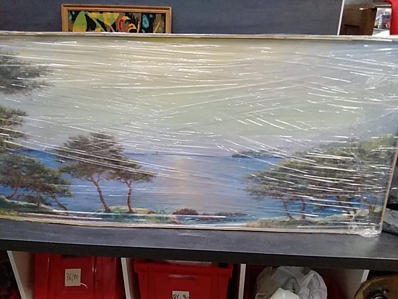 PASTEL 108 X 48 CM