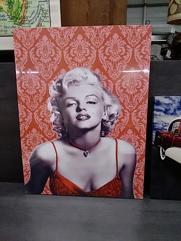 TOILE MARYLIN 6PX80CM