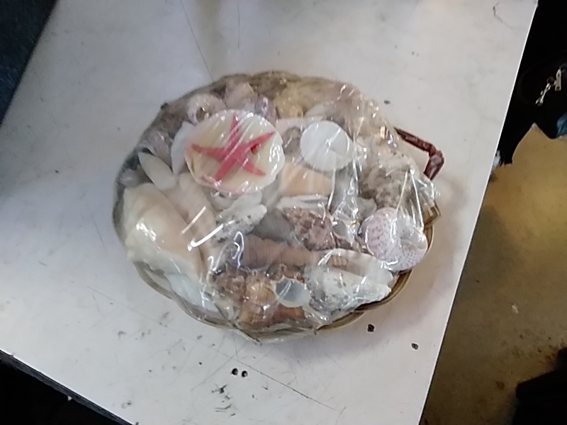 LOT DE COQUILLAGE 