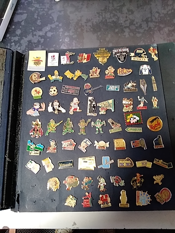 ALBUM COLLECTION DE PINS 