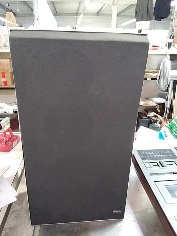 PAIRE D’ENCEINTES BEOVOX S30