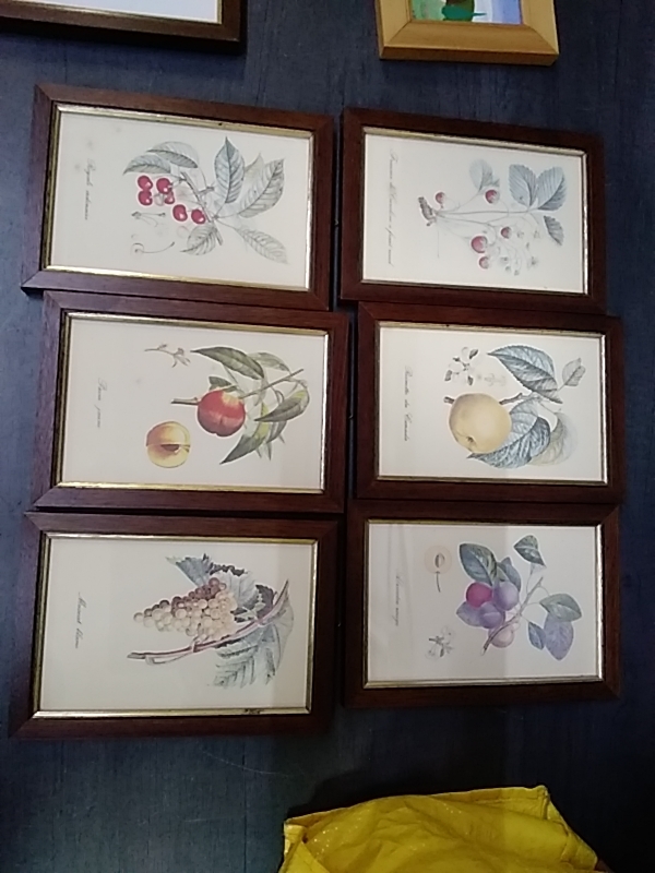 LOT DE 6 CADRES FRUITS 