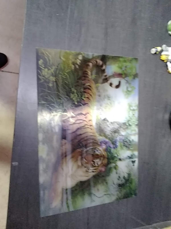 PHOTO 3D LIONNE